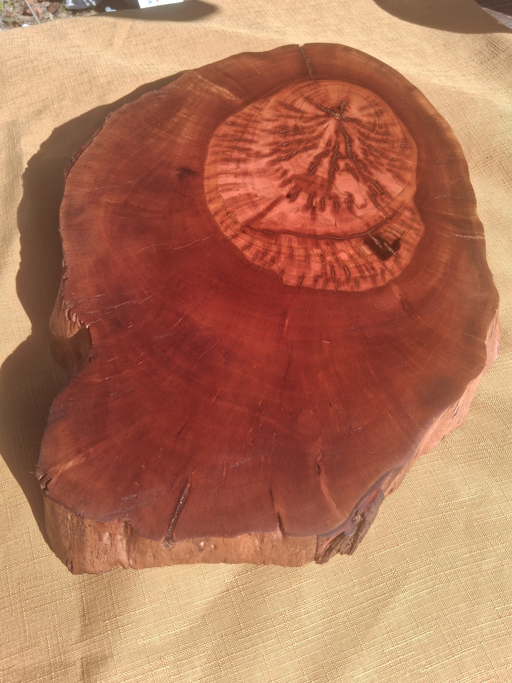 RARE 1925 Fullerton Pepperwood Live Edge Slab 15” x 2.5” - Picture 8 of 10